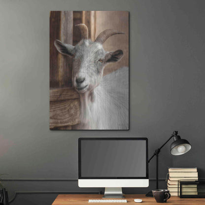 Luxe Metal Art 'Gray Goat' by Lori Deiter, Metal Wall Art,24x36