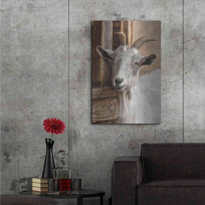 Luxe Metal Art 'Gray Goat' by Lori Deiter, Metal Wall Art,24x36