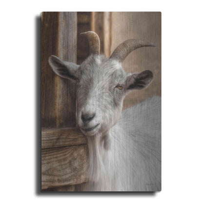 Luxe Metal Art 'Gray Goat' by Lori Deiter, Metal Wall Art