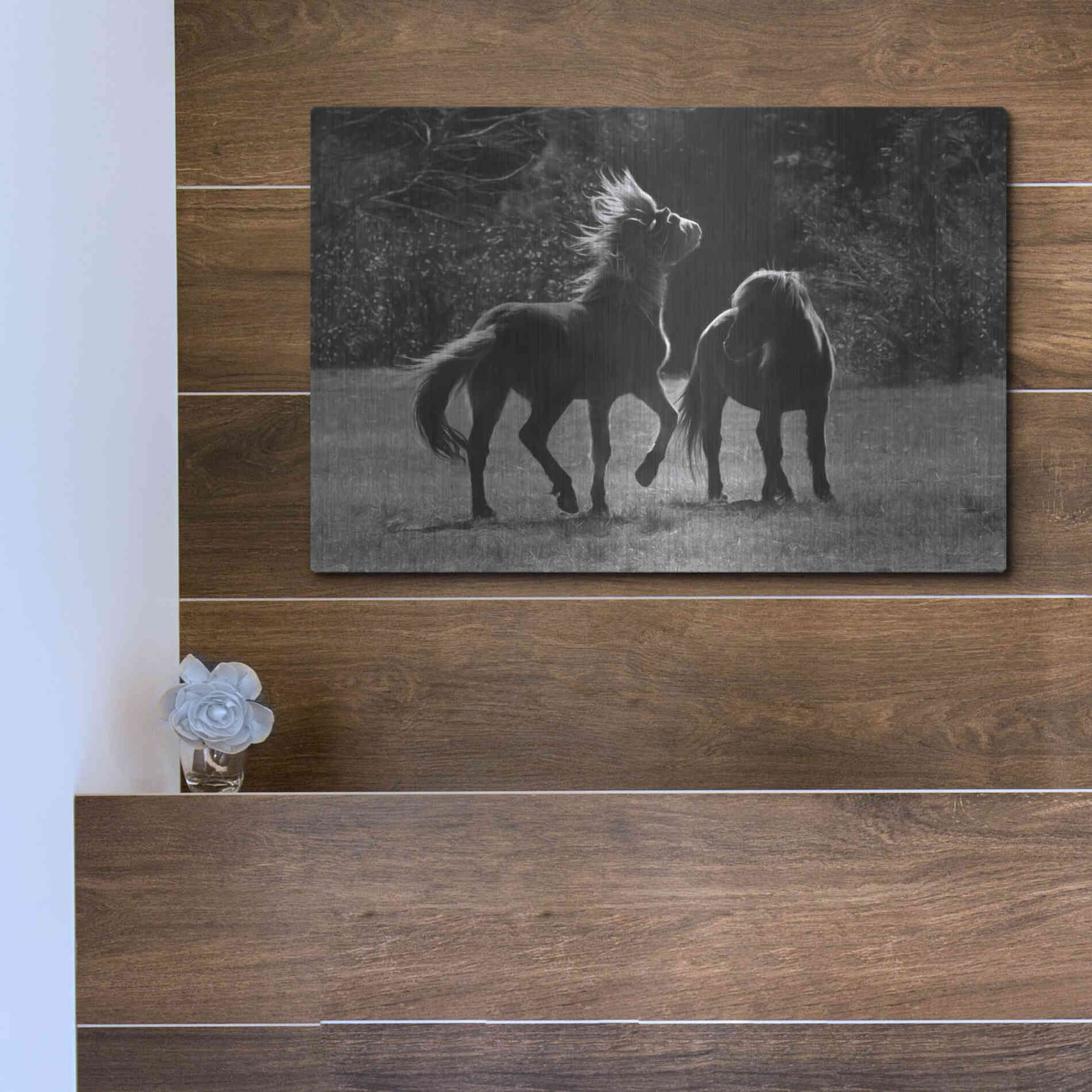 Luxe Metal Art 'Black & White Assateague Horses' by Lori Deiter, Metal Wall Art,16x12