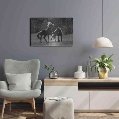 Luxe Metal Art 'Black & White Assateague Horses' by Lori Deiter, Metal Wall Art,24x16