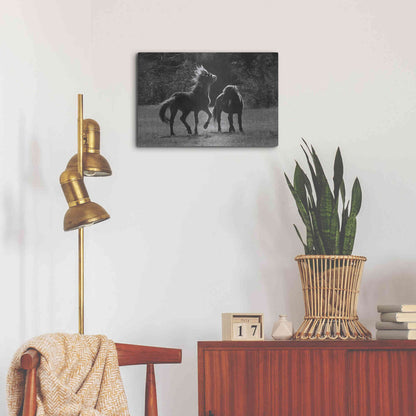 Luxe Metal Art 'Black & White Assateague Horses' by Lori Deiter, Metal Wall Art,24x16