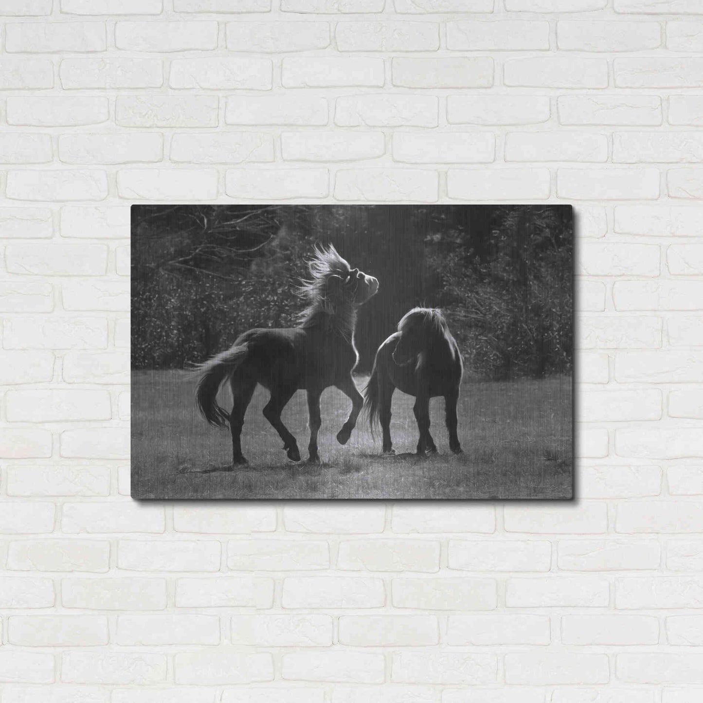 Luxe Metal Art 'Black & White Assateague Horses' by Lori Deiter, Metal Wall Art,36x24