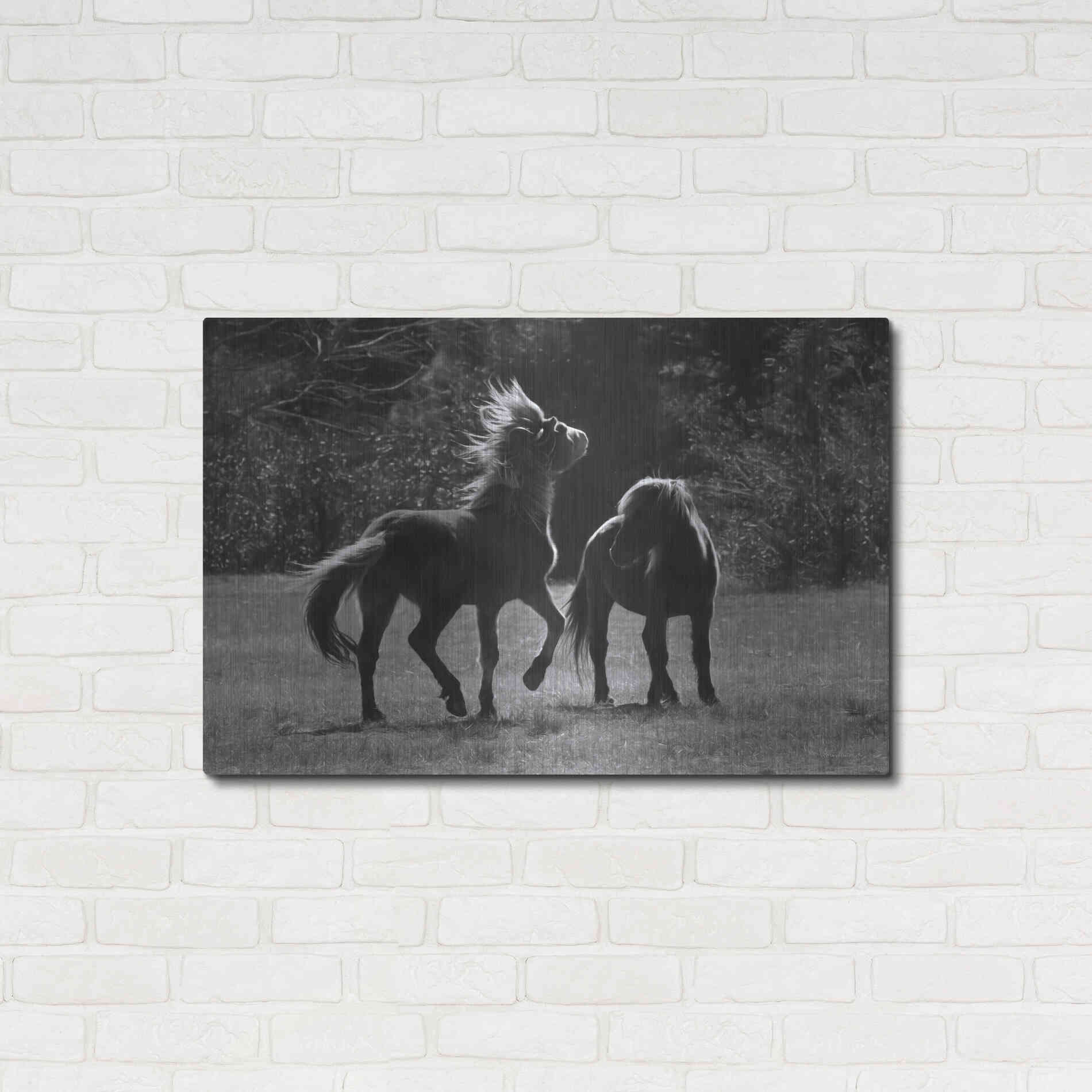 Luxe Metal Art 'Black & White Assateague Horses' by Lori Deiter, Metal Wall Art,36x24