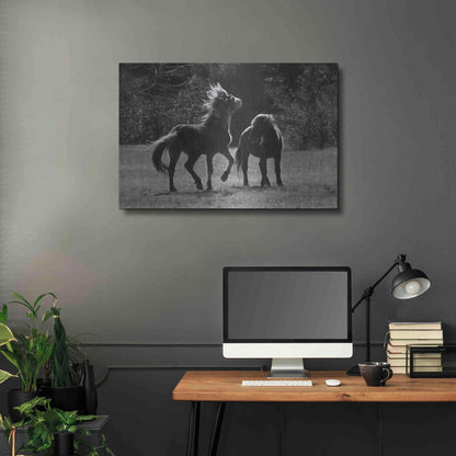 Luxe Metal Art 'Black & White Assateague Horses' by Lori Deiter, Metal Wall Art,36x24