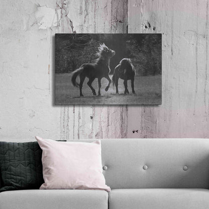 Luxe Metal Art 'Black & White Assateague Horses' by Lori Deiter, Metal Wall Art,36x24