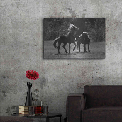 Luxe Metal Art 'Black & White Assateague Horses' by Lori Deiter, Metal Wall Art,36x24