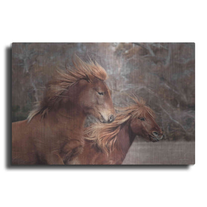 Luxe Metal Art 'Assateague Horses II' by Lori Deiter, Metal Wall Art