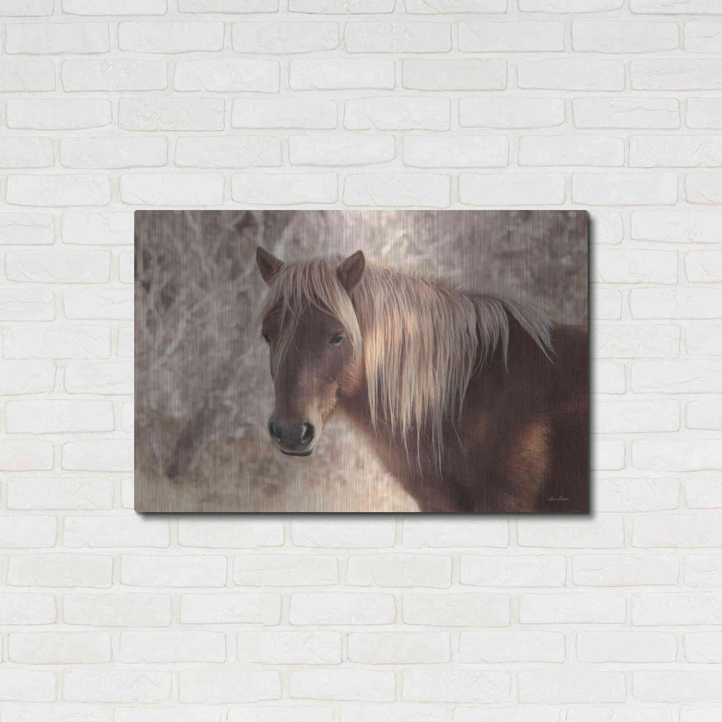 Luxe Metal Art 'Assateague Horse Portrait' by Lori Deiter, Metal Wall Art,36x24