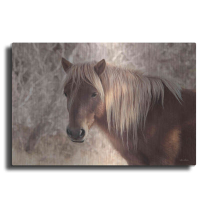 Luxe Metal Art 'Assateague Horse Portrait' by Lori Deiter, Metal Wall Art