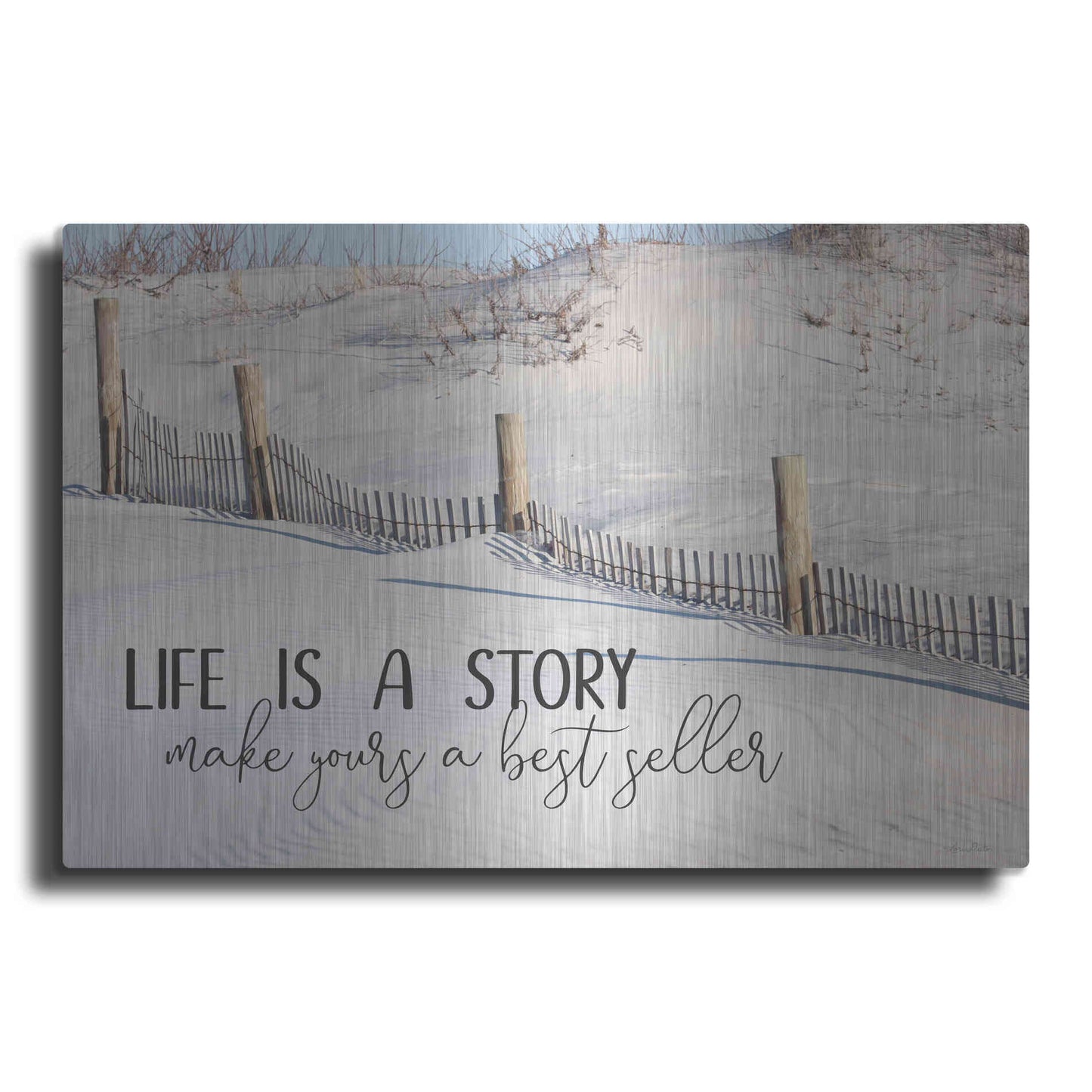 Luxe Metal Art 'Life is a Story' by Lori Deiter, Metal Wall Art