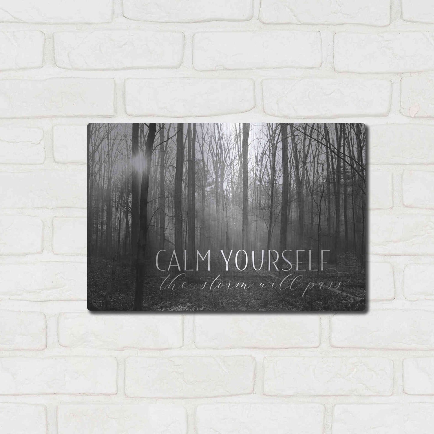 Luxe Metal Art 'Calm Yourself' by Lori Deiter, Metal Wall Art,16x12