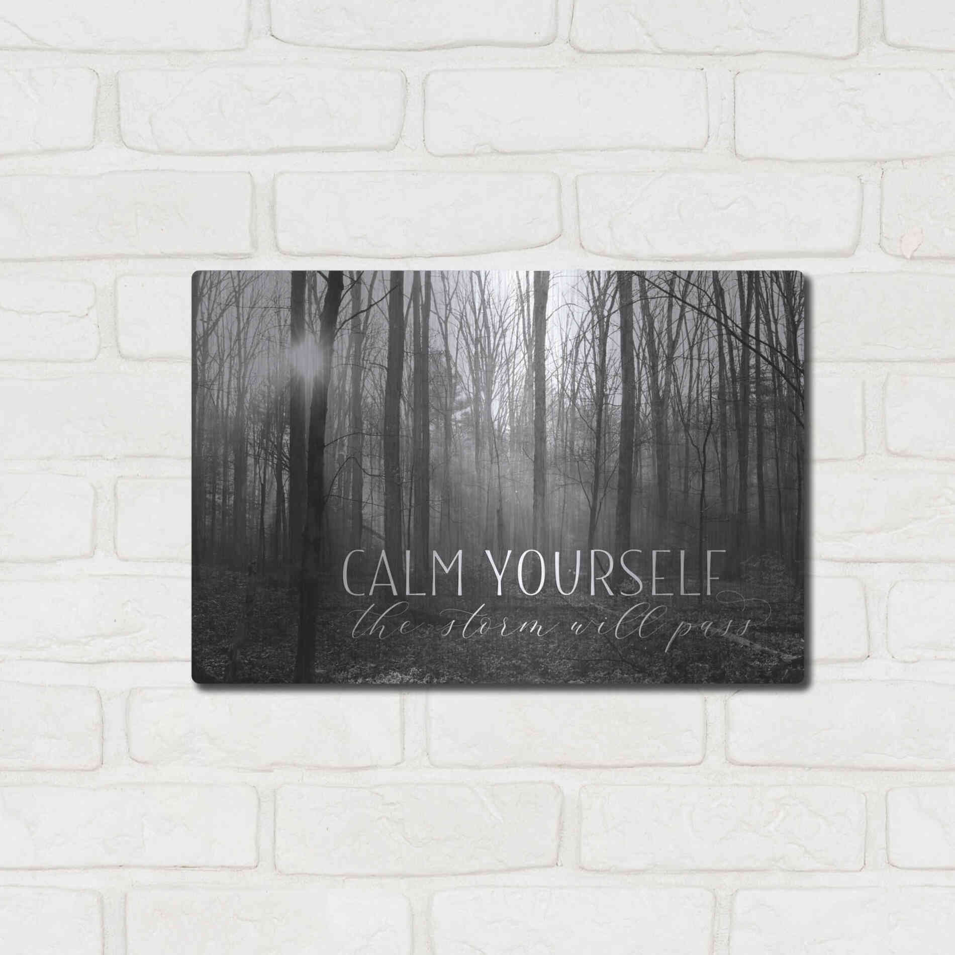 Luxe Metal Art 'Calm Yourself' by Lori Deiter, Metal Wall Art,16x12