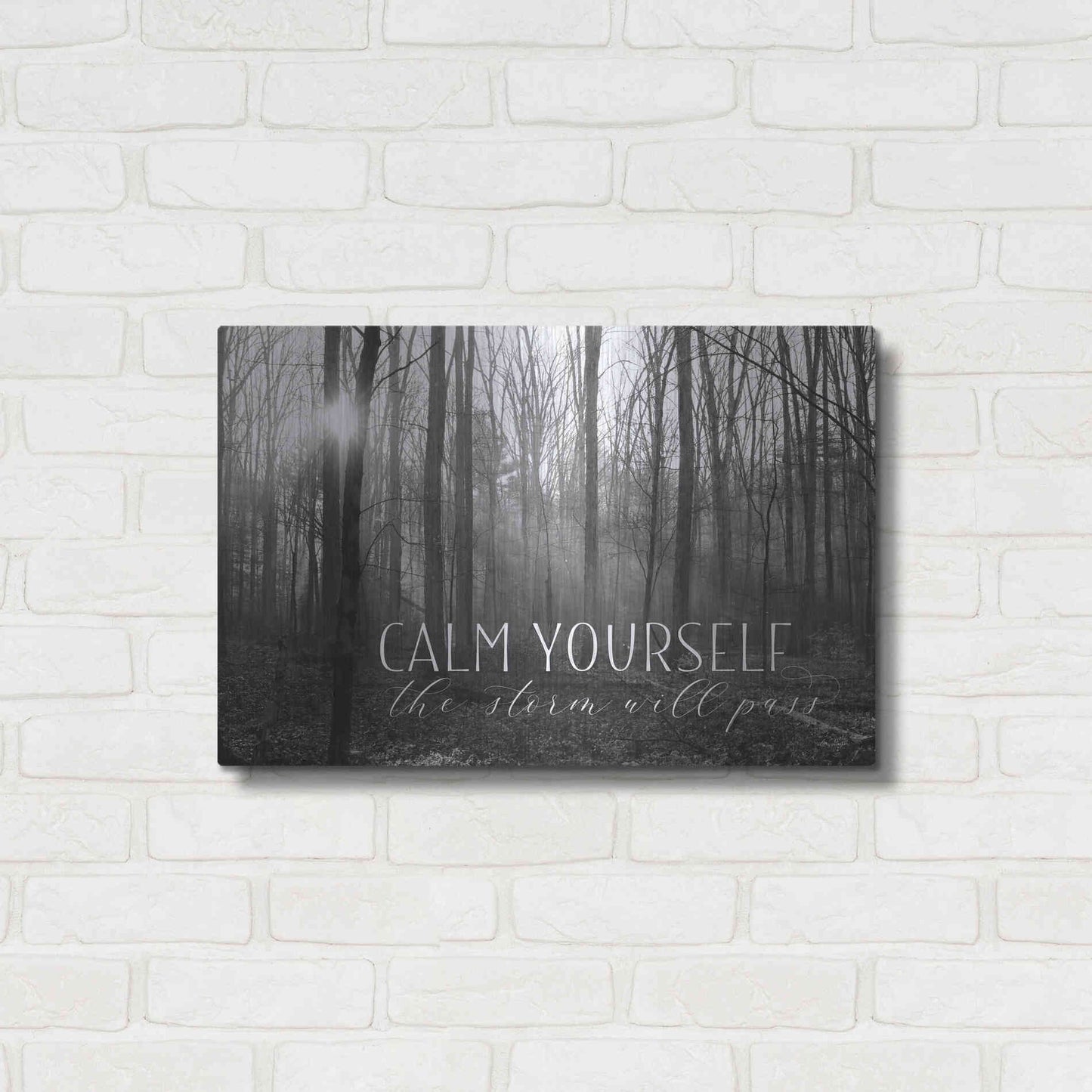 Luxe Metal Art 'Calm Yourself' by Lori Deiter, Metal Wall Art,24x16