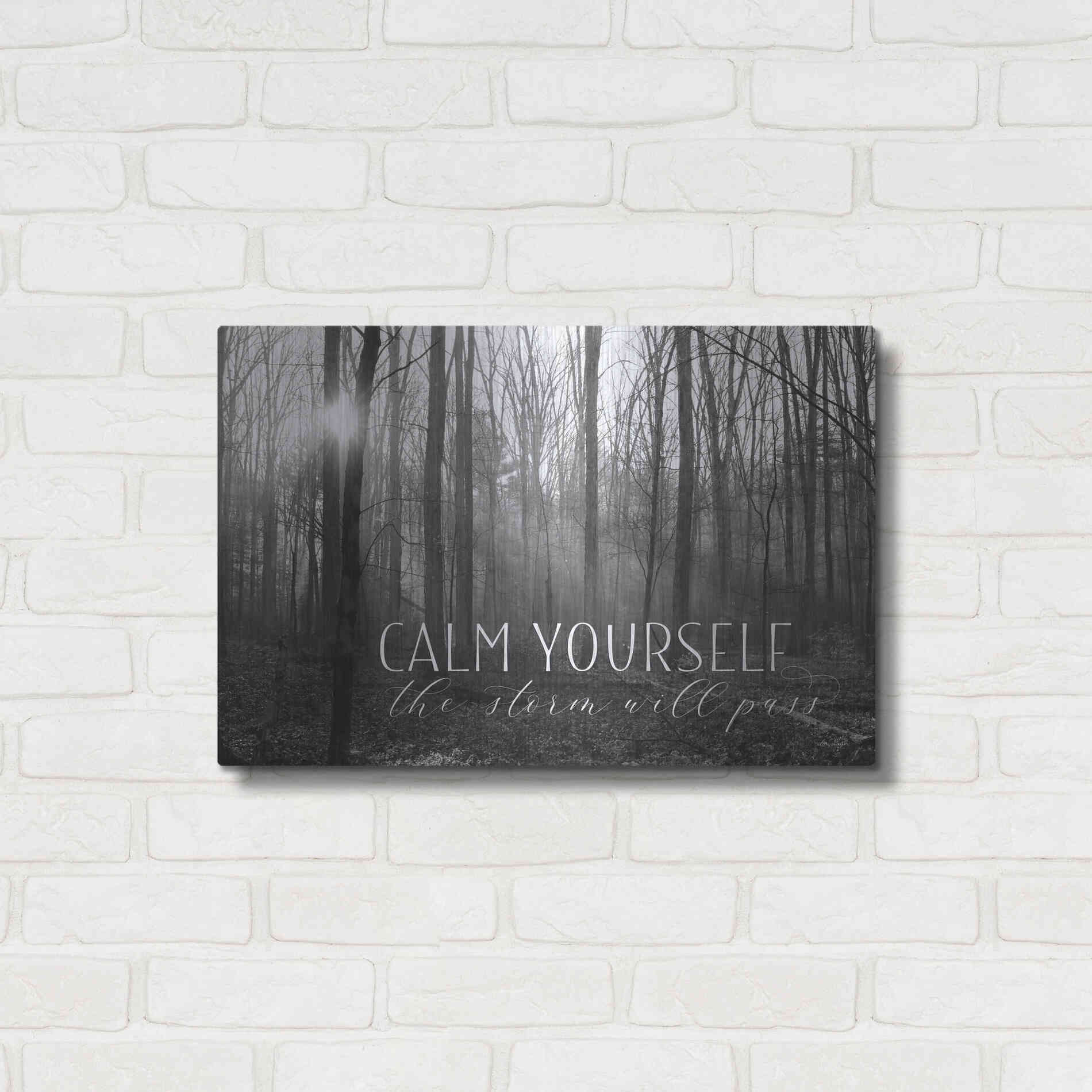 Luxe Metal Art 'Calm Yourself' by Lori Deiter, Metal Wall Art,24x16