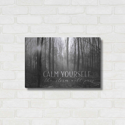 Luxe Metal Art 'Calm Yourself' by Lori Deiter, Metal Wall Art,24x16
