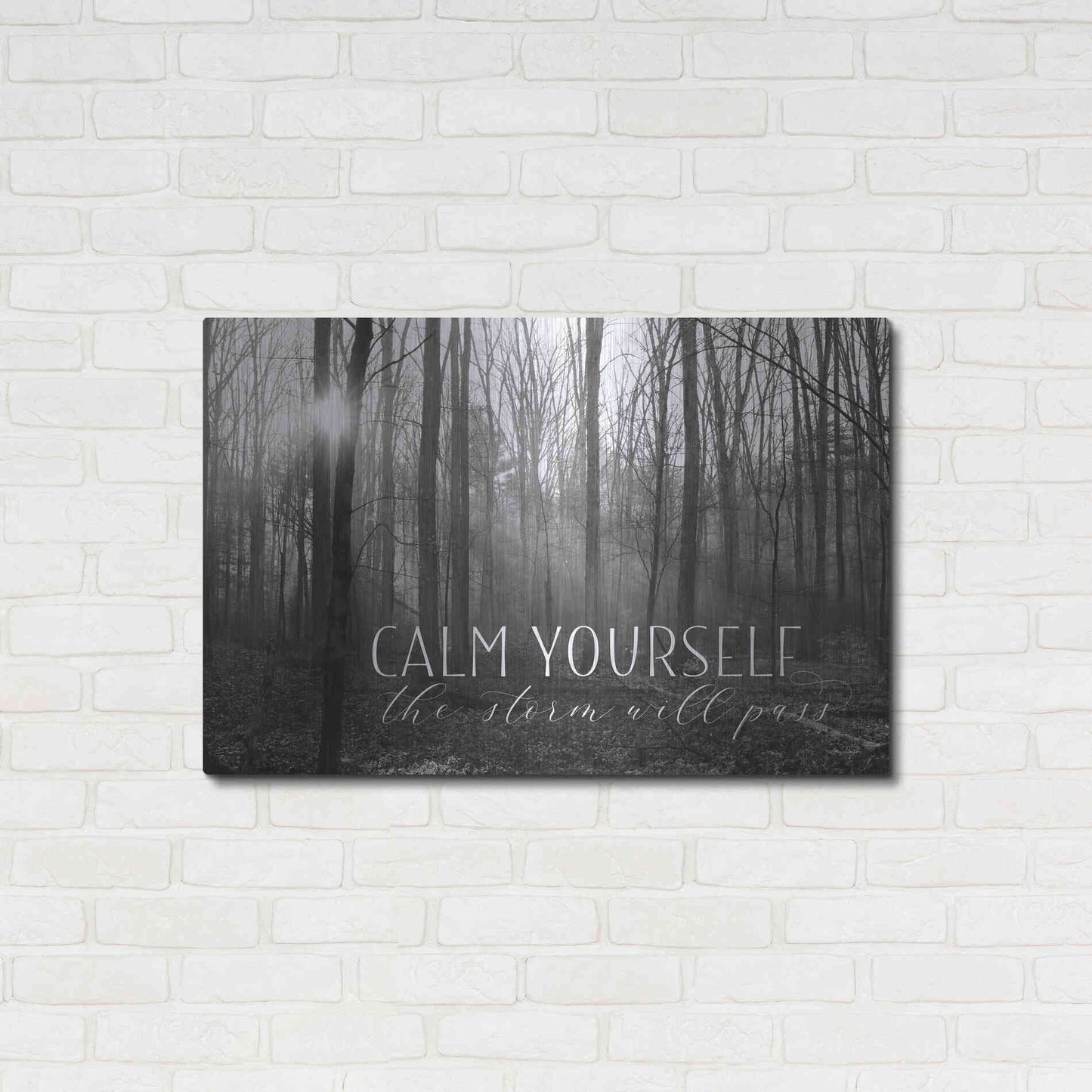 Luxe Metal Art 'Calm Yourself' by Lori Deiter, Metal Wall Art,36x24