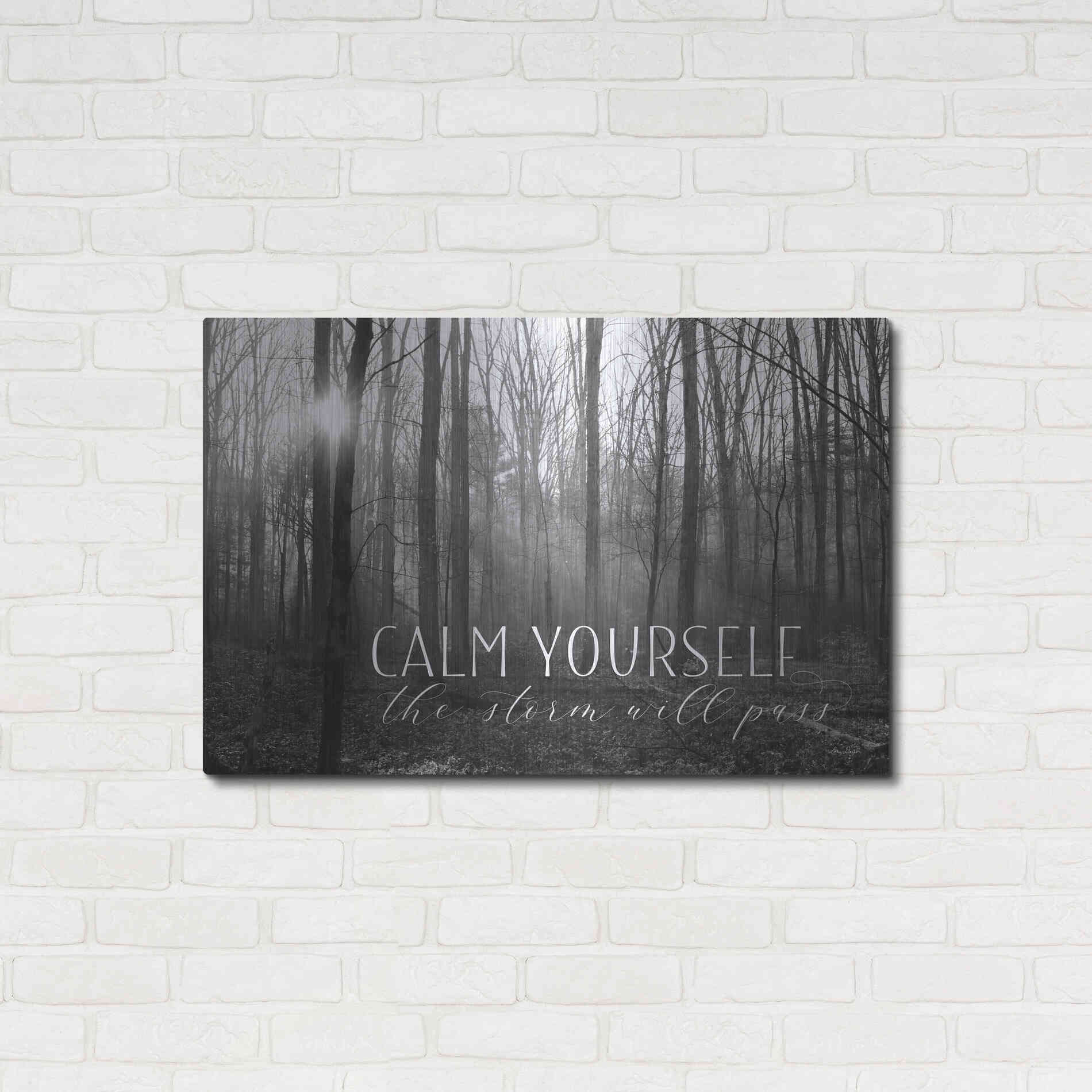 Luxe Metal Art 'Calm Yourself' by Lori Deiter, Metal Wall Art,36x24