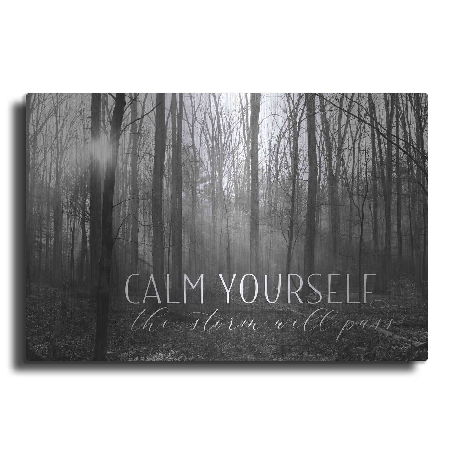 Luxe Metal Art 'Calm Yourself' by Lori Deiter, Metal Wall Art