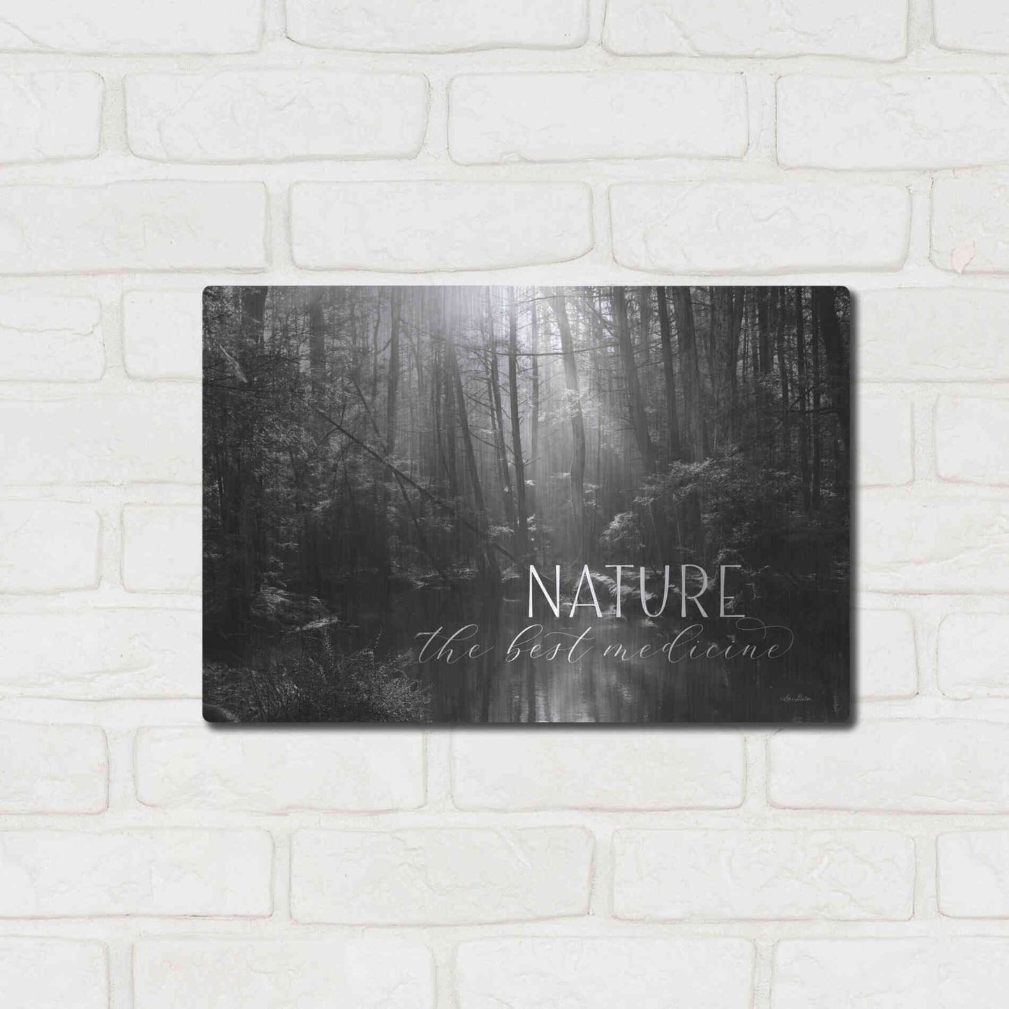 Luxe Metal Art 'Nature - The Best Medicine' by Lori Deiter, Metal Wall Art,16x12
