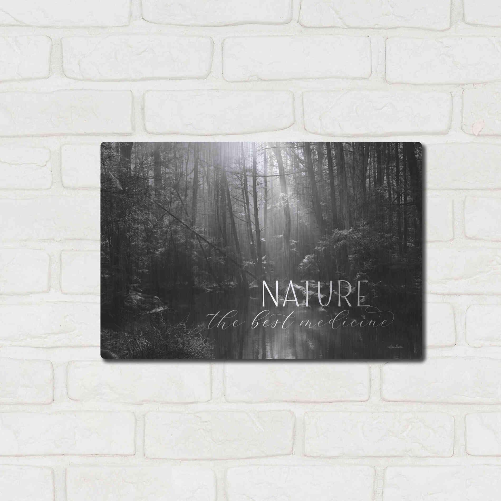 Luxe Metal Art 'Nature - The Best Medicine' by Lori Deiter, Metal Wall Art,16x12