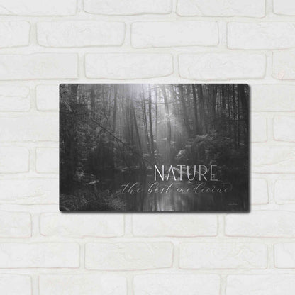 Luxe Metal Art 'Nature - The Best Medicine' by Lori Deiter, Metal Wall Art,16x12