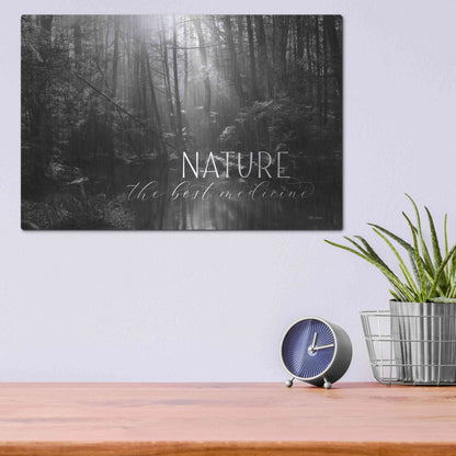 Luxe Metal Art 'Nature - The Best Medicine' by Lori Deiter, Metal Wall Art,16x12