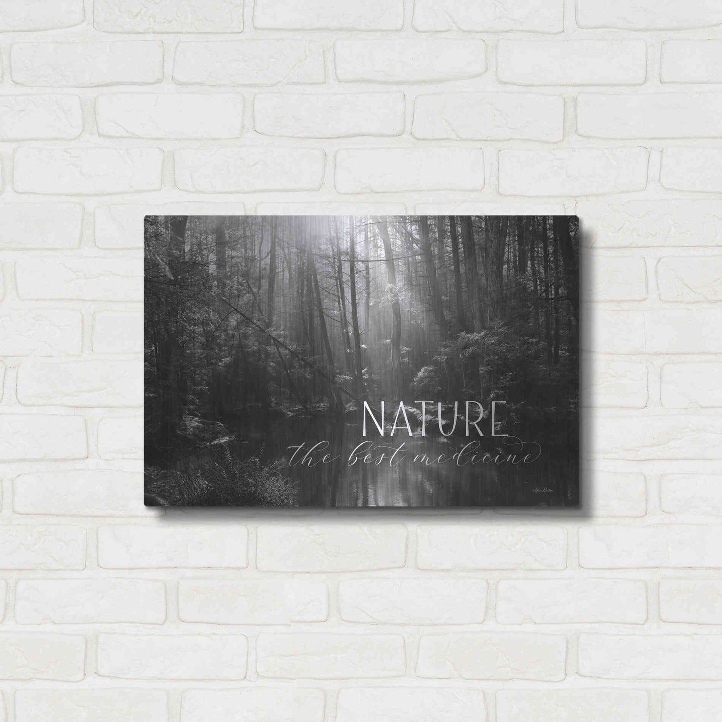 Luxe Metal Art 'Nature - The Best Medicine' by Lori Deiter, Metal Wall Art,24x16