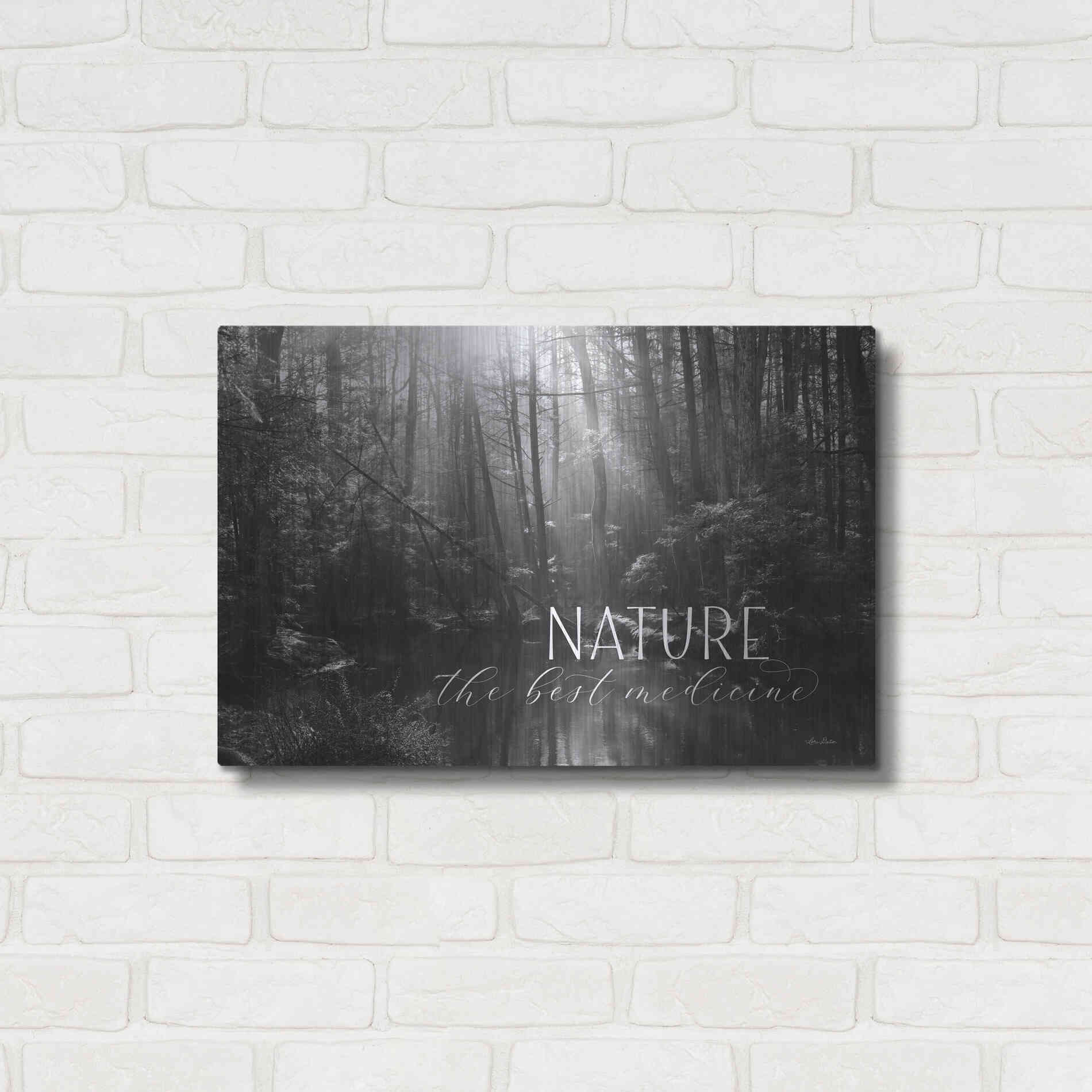 Luxe Metal Art 'Nature - The Best Medicine' by Lori Deiter, Metal Wall Art,24x16