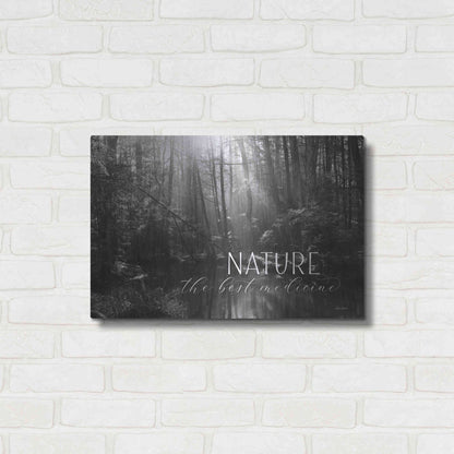 Luxe Metal Art 'Nature - The Best Medicine' by Lori Deiter, Metal Wall Art,24x16