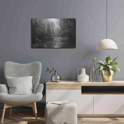 Luxe Metal Art 'Nature - The Best Medicine' by Lori Deiter, Metal Wall Art,24x16
