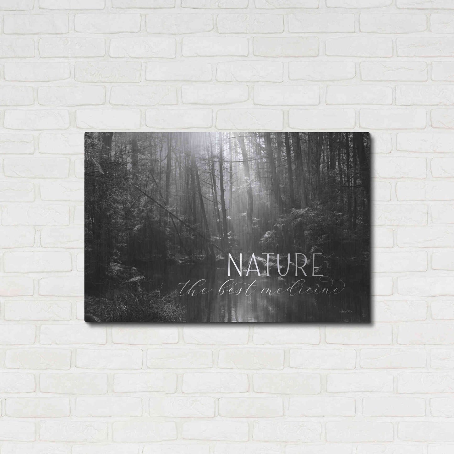 Luxe Metal Art 'Nature - The Best Medicine' by Lori Deiter, Metal Wall Art,36x24
