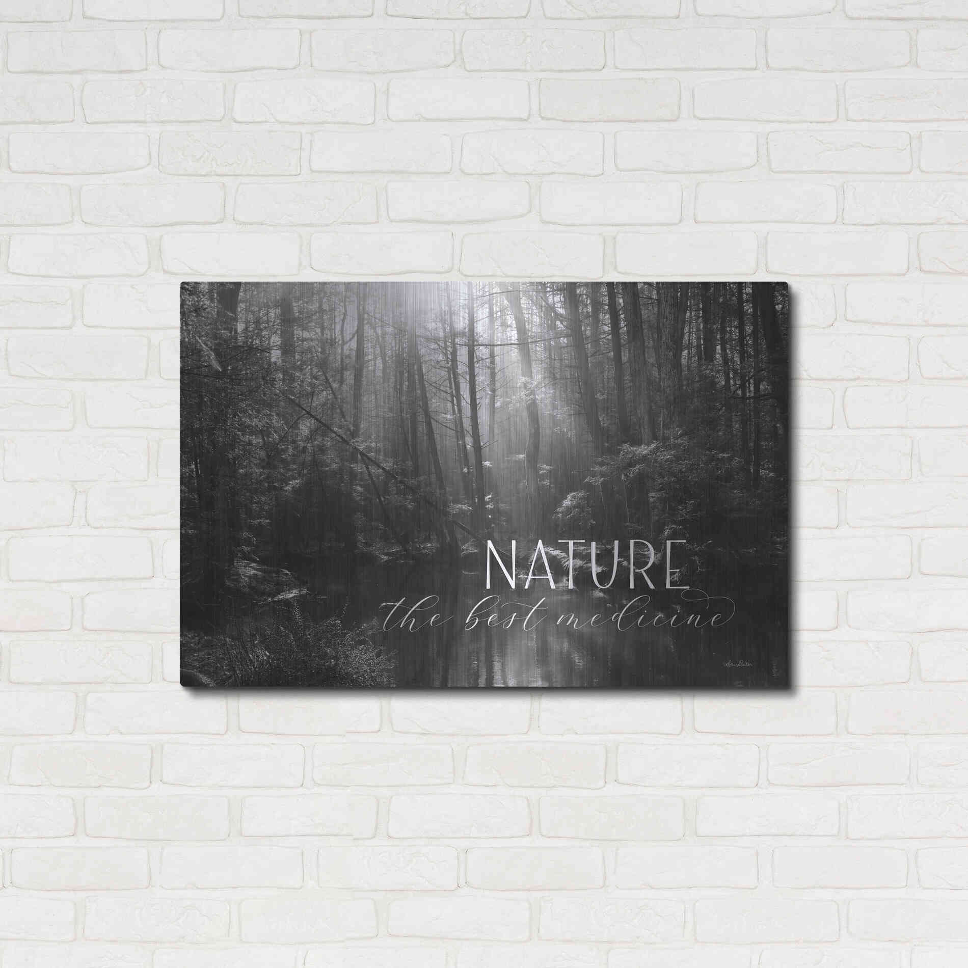 Luxe Metal Art 'Nature - The Best Medicine' by Lori Deiter, Metal Wall Art,36x24