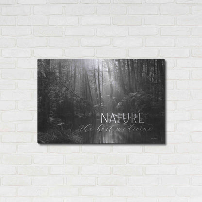 Luxe Metal Art 'Nature - The Best Medicine' by Lori Deiter, Metal Wall Art,36x24