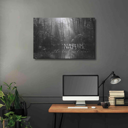 Luxe Metal Art 'Nature - The Best Medicine' by Lori Deiter, Metal Wall Art,36x24