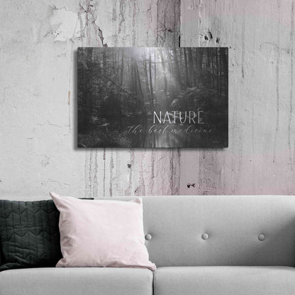 Luxe Metal Art 'Nature - The Best Medicine' by Lori Deiter, Metal Wall Art,36x24