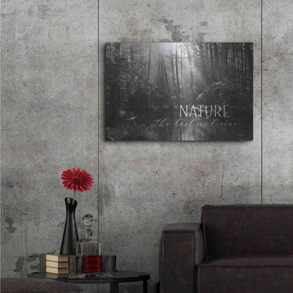 Luxe Metal Art 'Nature - The Best Medicine' by Lori Deiter, Metal Wall Art,36x24
