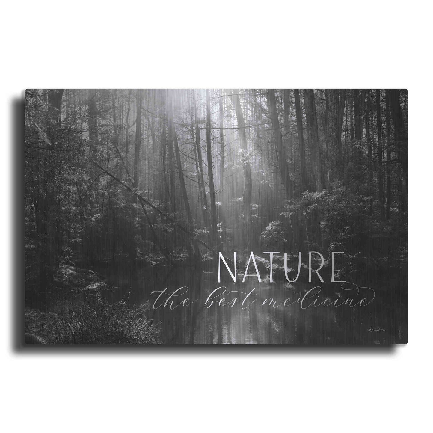 Luxe Metal Art 'Nature - The Best Medicine' by Lori Deiter, Metal Wall Art