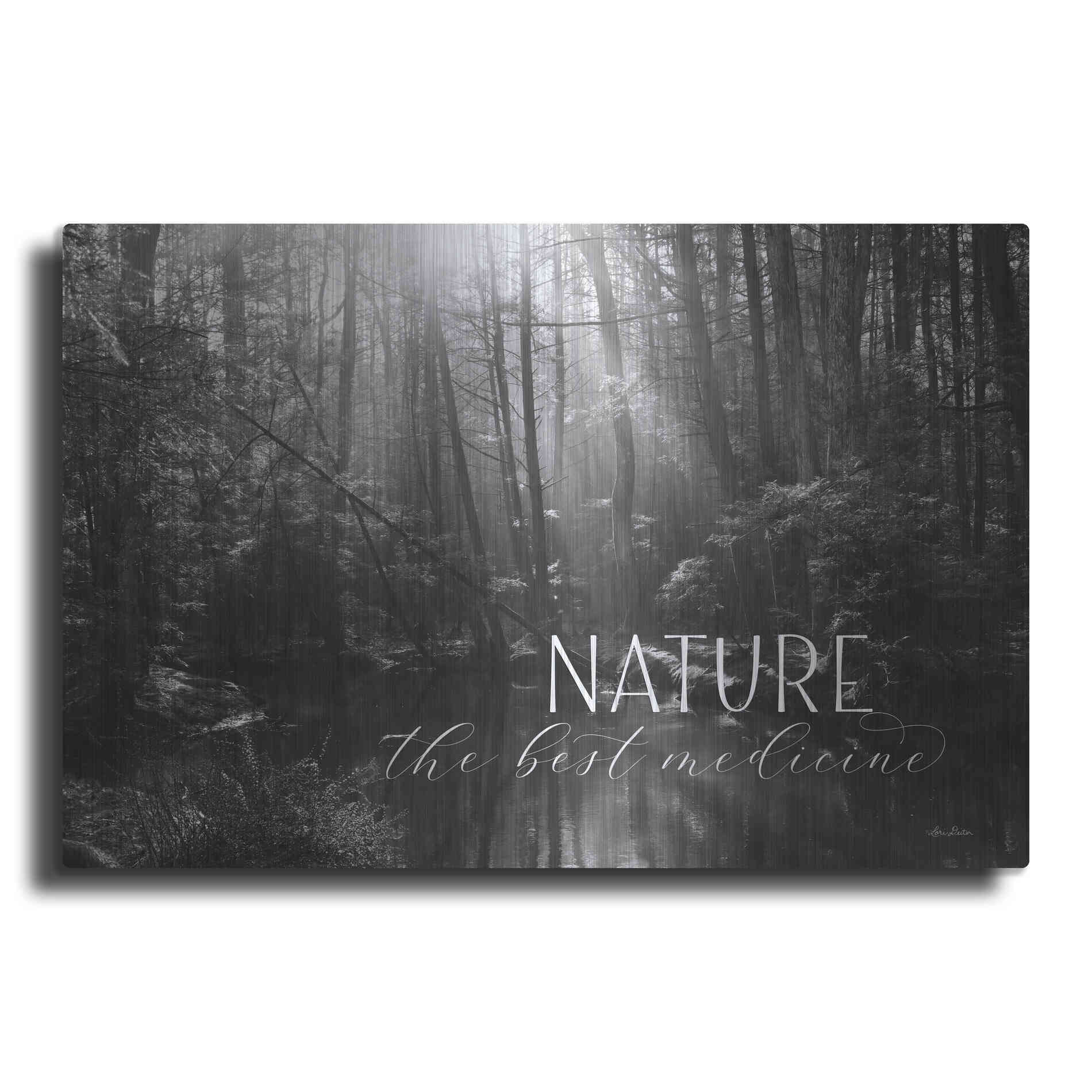 Luxe Metal Art 'Nature - The Best Medicine' by Lori Deiter, Metal Wall Art