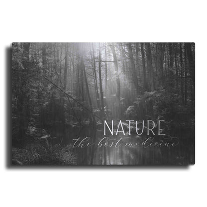 Luxe Metal Art 'Nature - The Best Medicine' by Lori Deiter, Metal Wall Art