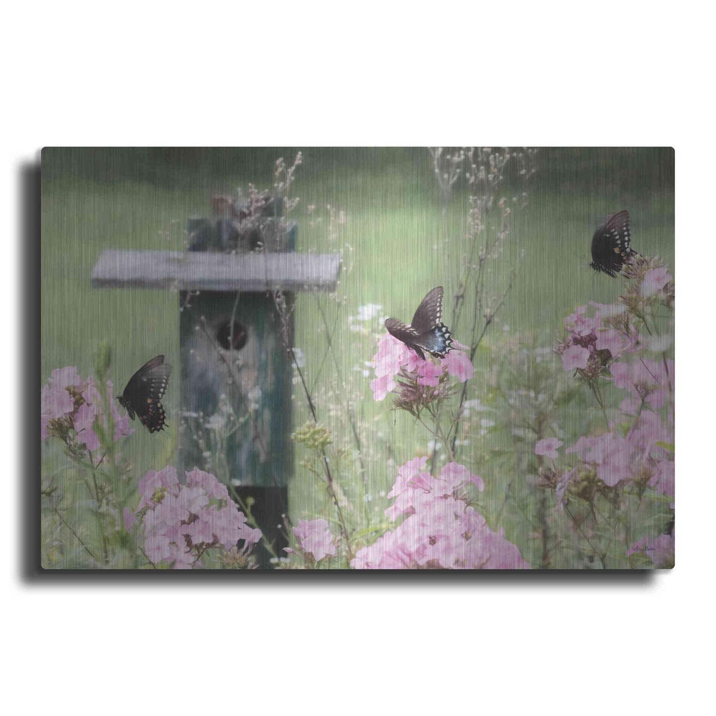 Luxe Metal Art 'Summer Fantasy' by Lori Deiter, Metal Wall Art