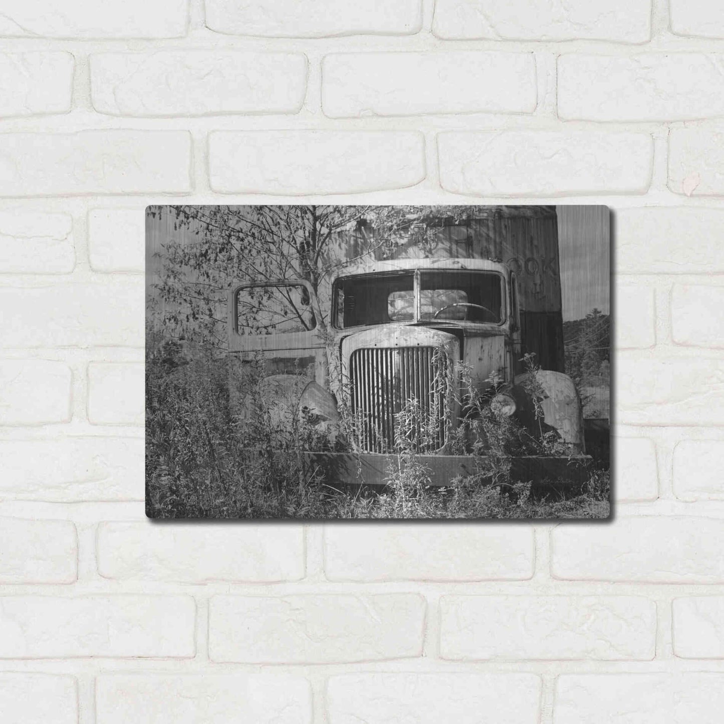 Luxe Metal Art 'Don't Leave Me Hanging' by Lori Deiter, Metal Wall Art,16x12