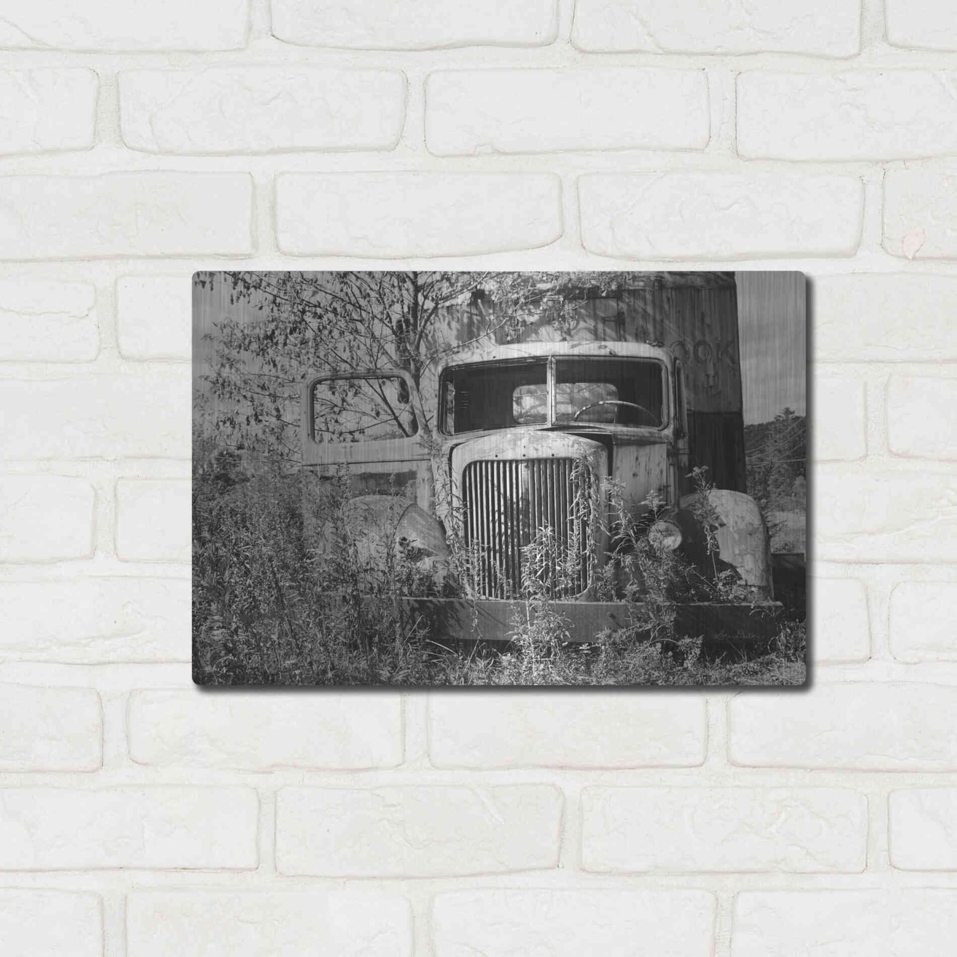 Luxe Metal Art 'Don't Leave Me Hanging' by Lori Deiter, Metal Wall Art,16x12