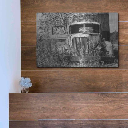 Luxe Metal Art 'Don't Leave Me Hanging' by Lori Deiter, Metal Wall Art,16x12