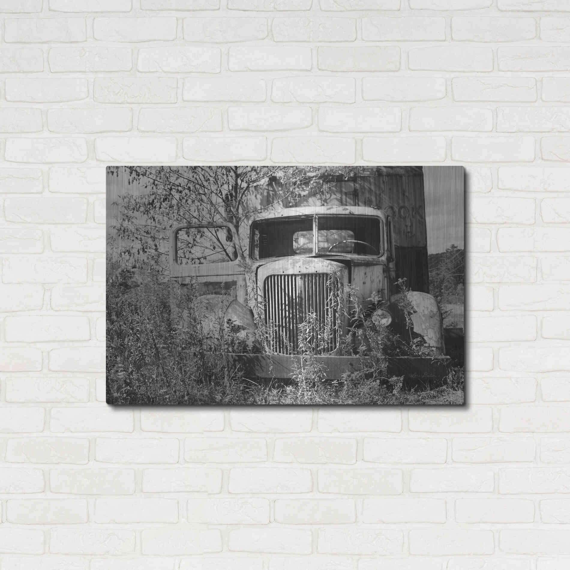 Luxe Metal Art 'Don't Leave Me Hanging' by Lori Deiter, Metal Wall Art,36x24