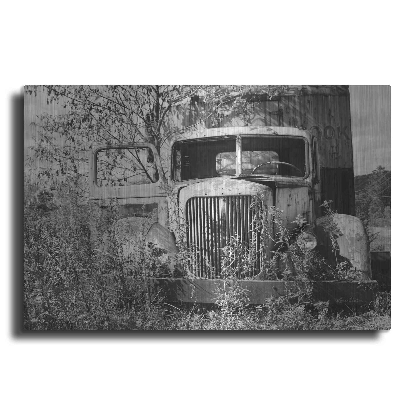 Luxe Metal Art 'Don't Leave Me Hanging' by Lori Deiter, Metal Wall Art