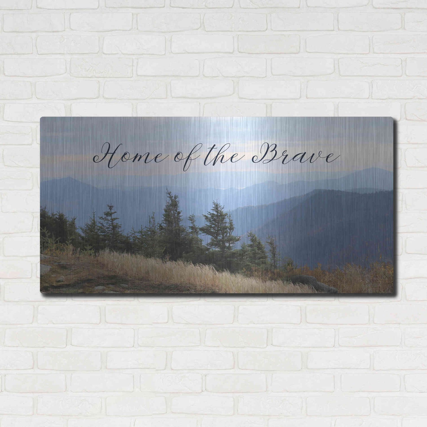 Luxe Metal Art 'Home of the Brave' by Lori Deiter, Metal Wall Art,48x24
