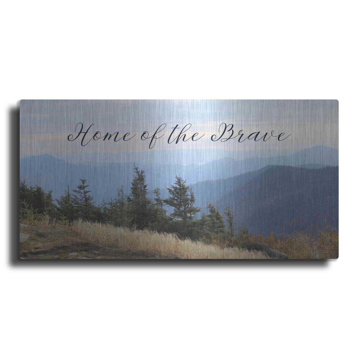 Luxe Metal Art 'Home of the Brave' by Lori Deiter, Metal Wall Art