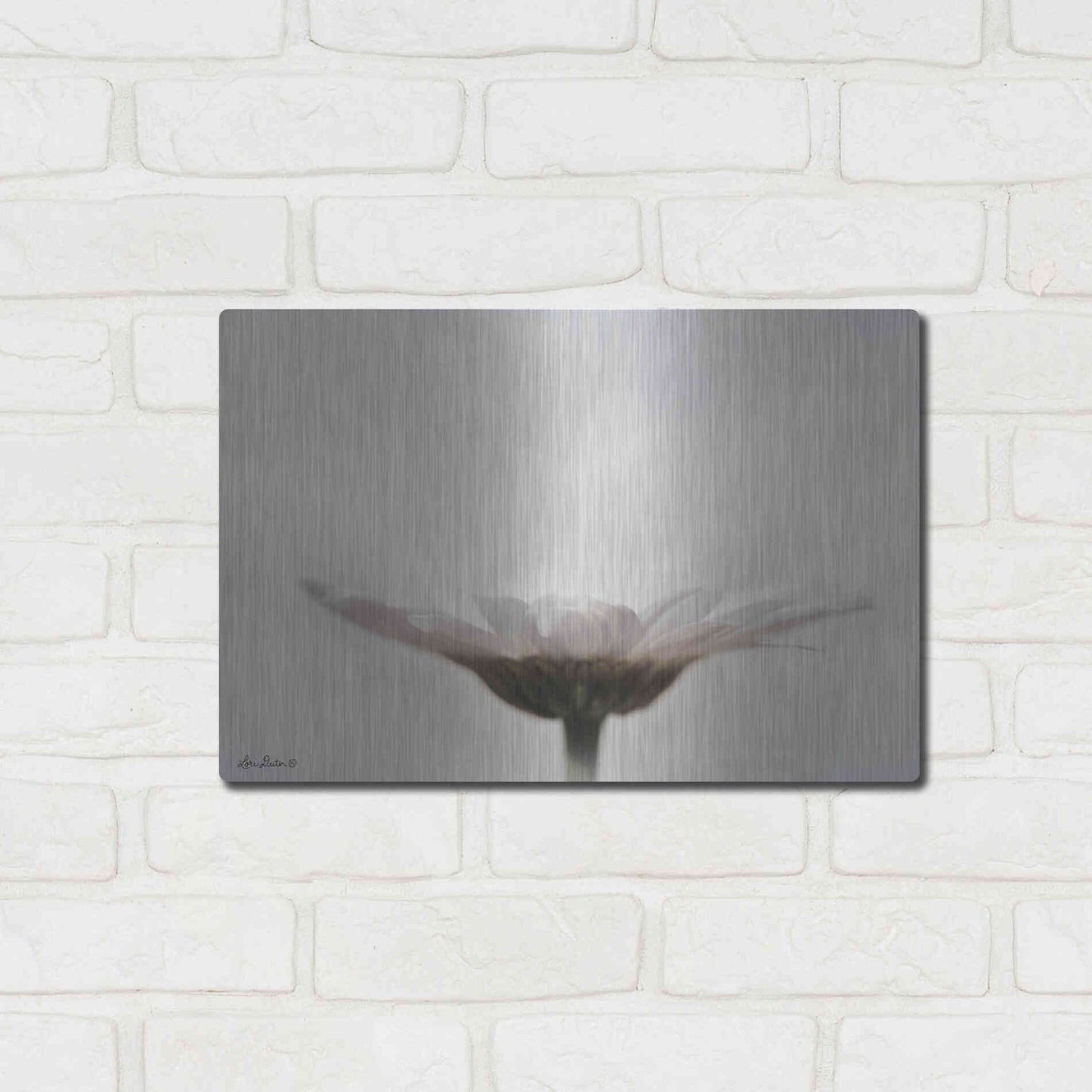 Luxe Metal Art 'Love Story' by Lori Deiter, Metal Wall Art,16x12