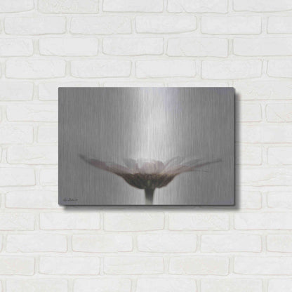 Luxe Metal Art 'Love Story' by Lori Deiter, Metal Wall Art,24x16